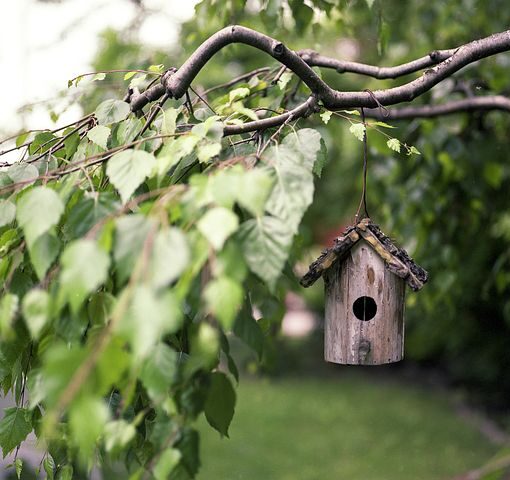 Vogelhäuschen